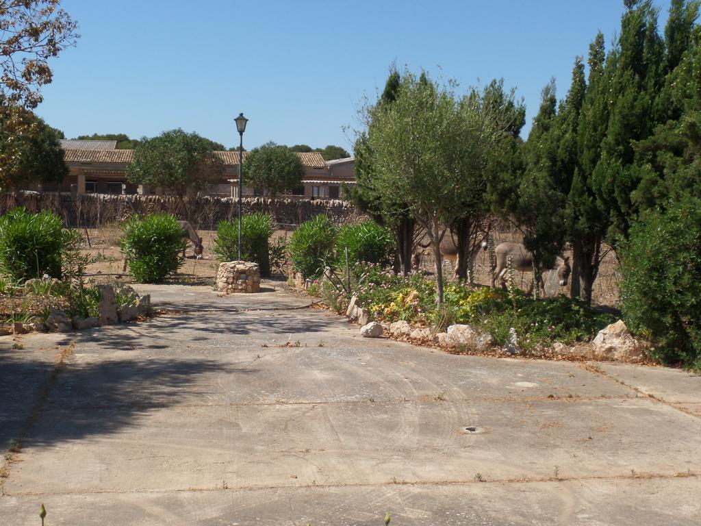 Sa Bassa Crua Agroturismo Sa Torre 외부 사진