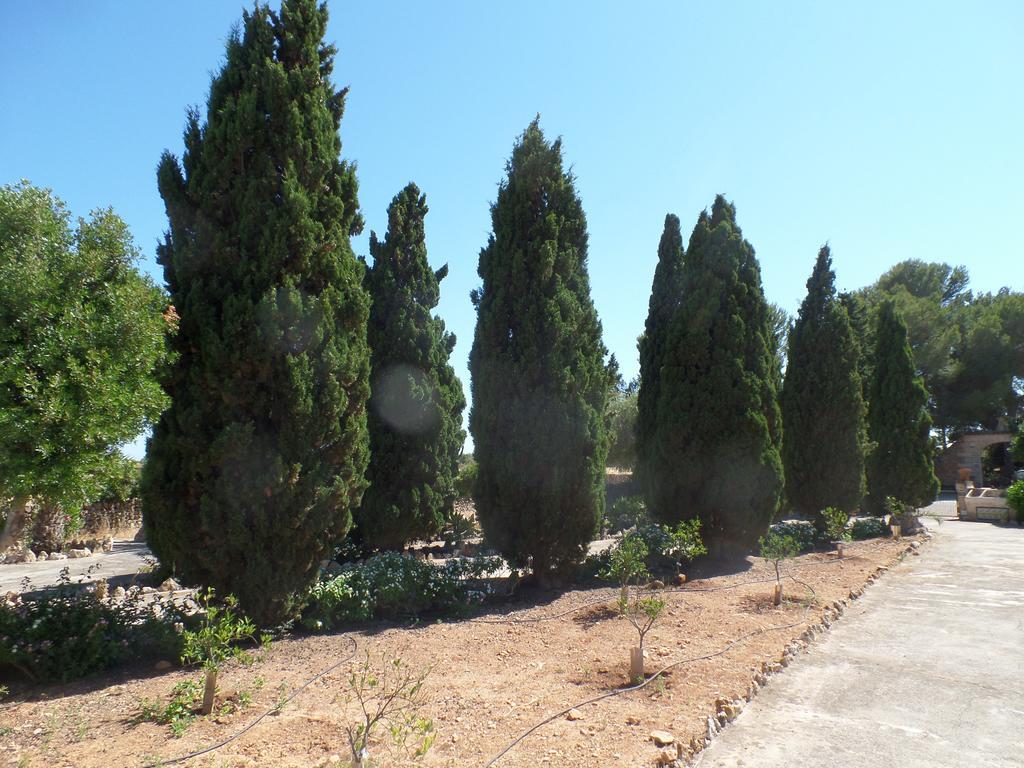 Sa Bassa Crua Agroturismo Sa Torre 외부 사진